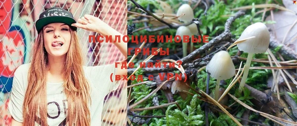 стафф Верхний Тагил