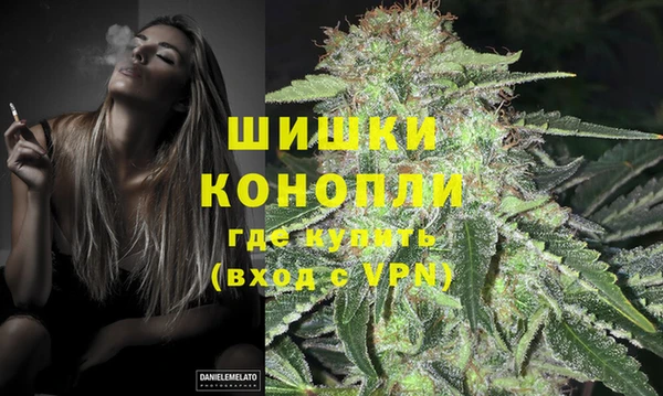 стафф Верхний Тагил