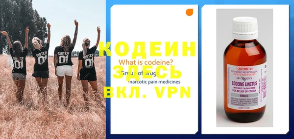 стаф Туринск
