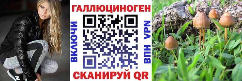 дарнет шоп  Лосино-Петровский  Псилоцибиновые грибы Cubensis 