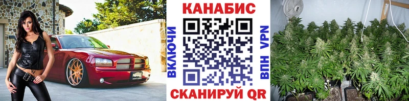 Шишки марихуана ГИДРОПОН  купить наркоту  Лосино-Петровский 